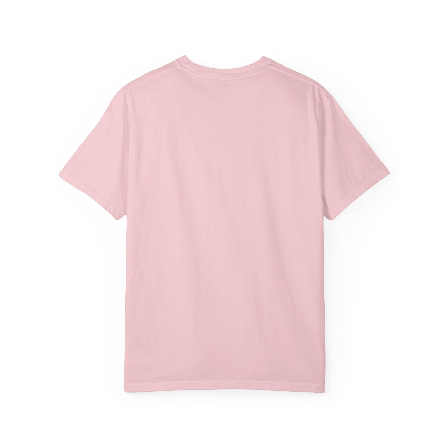 Silly Goose Teacher Club T-Shirt